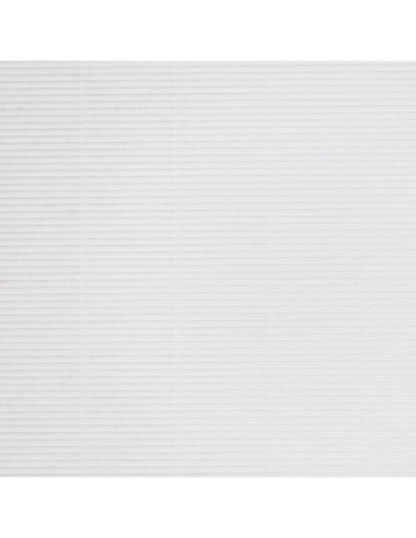 Papel Corrugado color blanco Silhouette